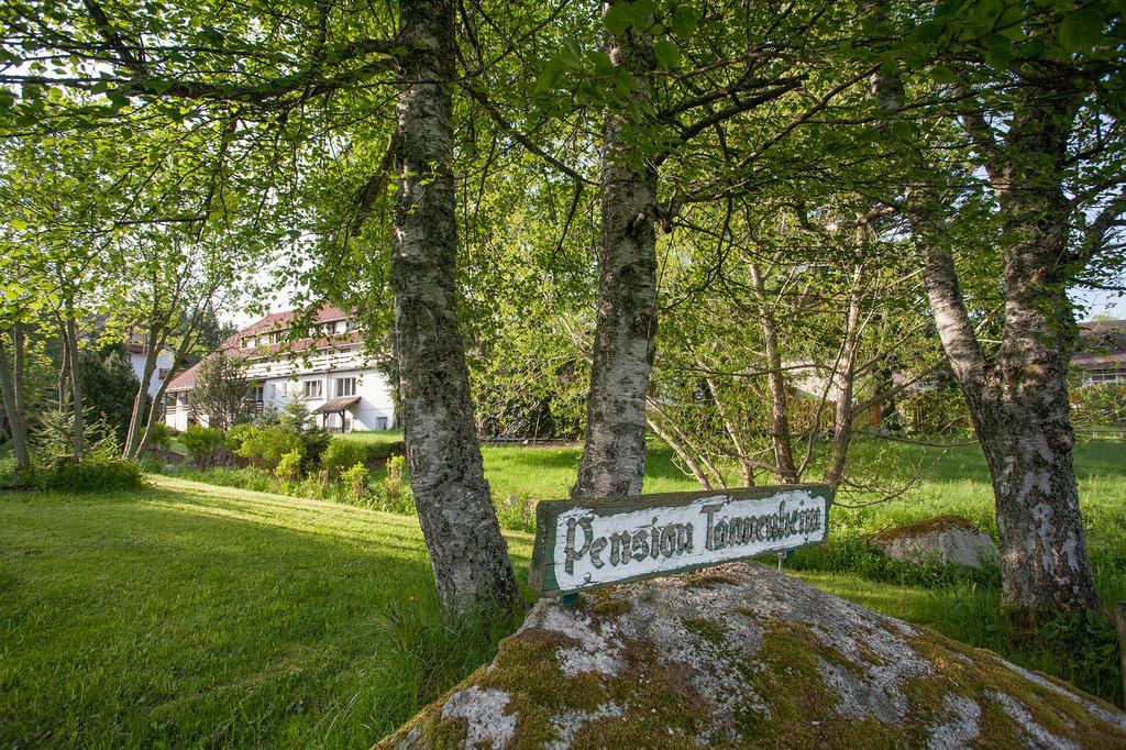 Pension Tannenheim Schluchsee Exterior foto