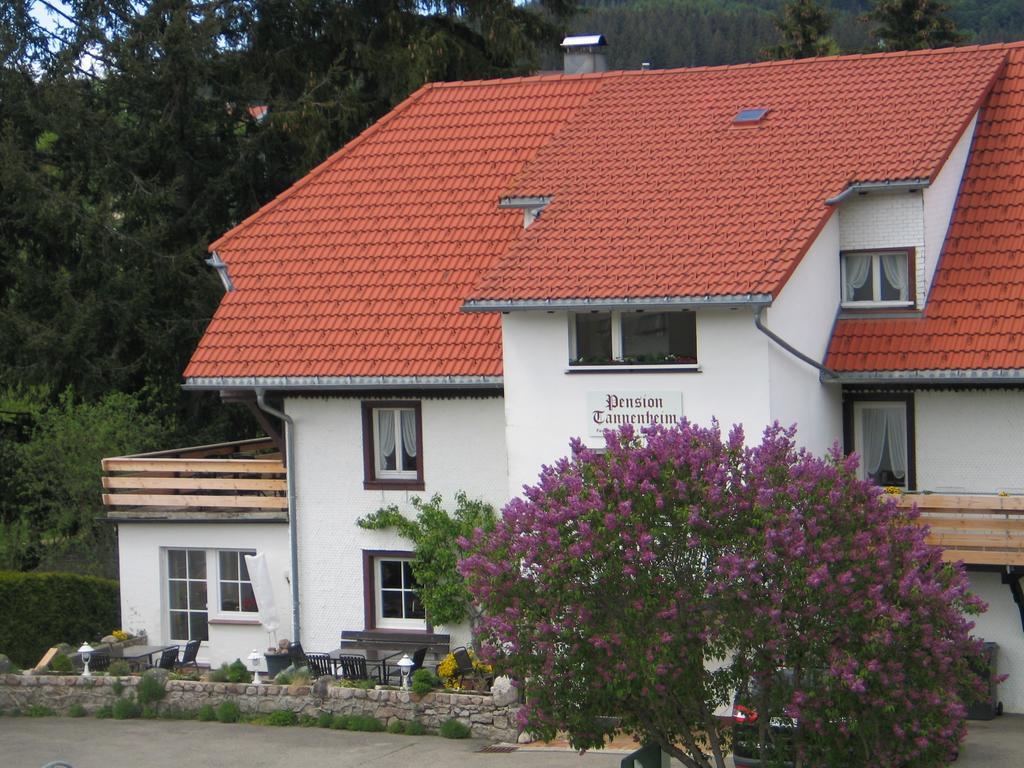 Pension Tannenheim Schluchsee Exterior foto