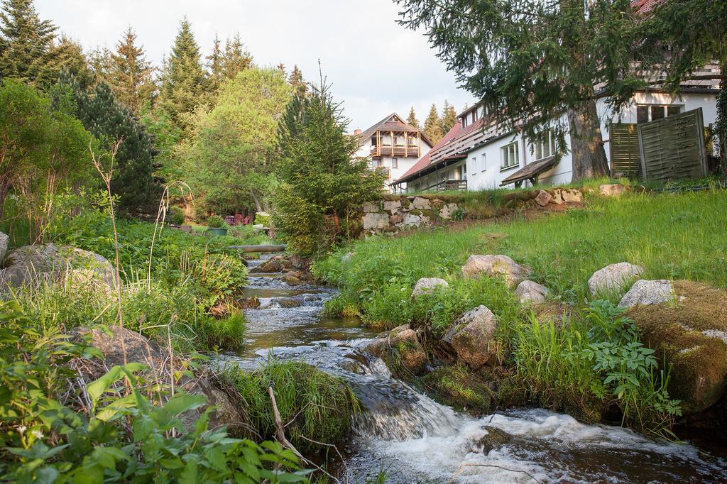 Pension Tannenheim Schluchsee Exterior foto